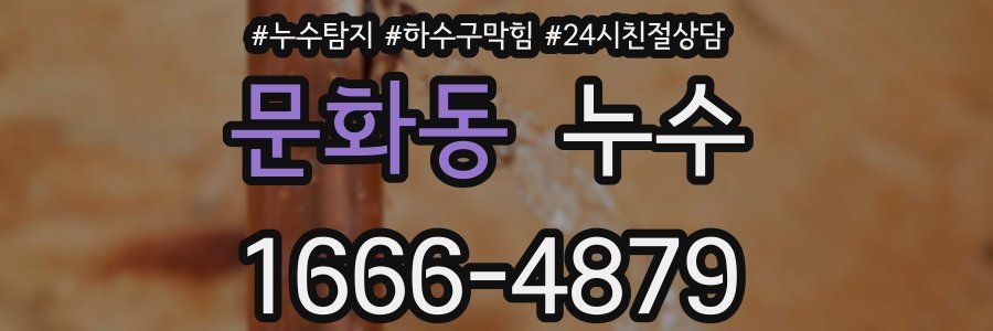 문화동 누수