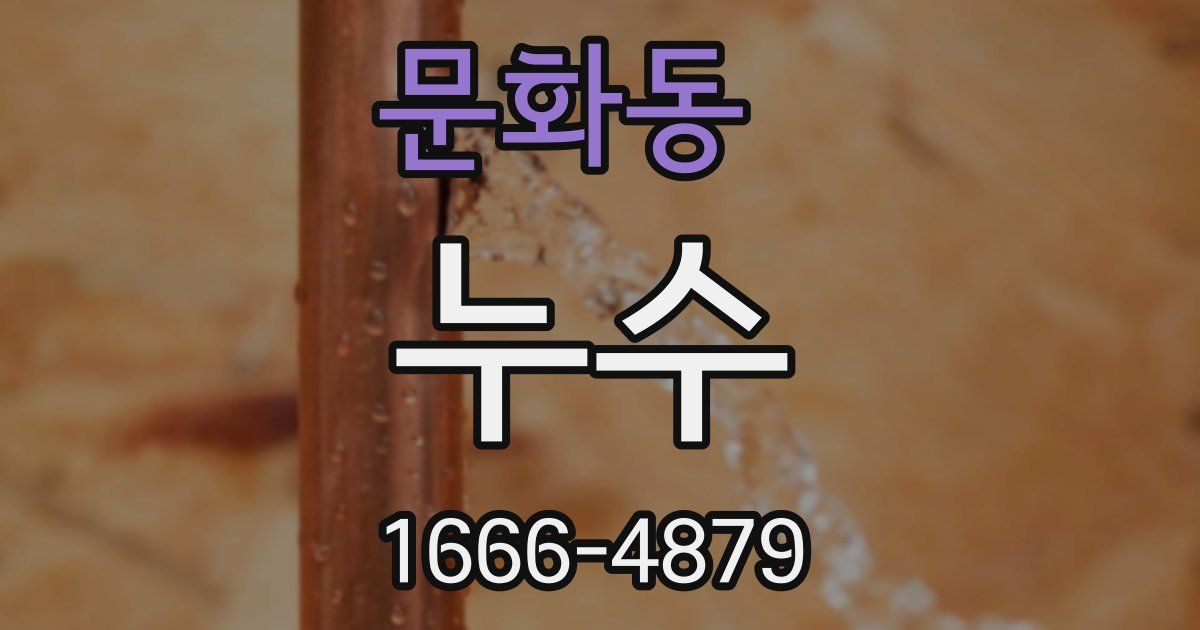문화동 누수