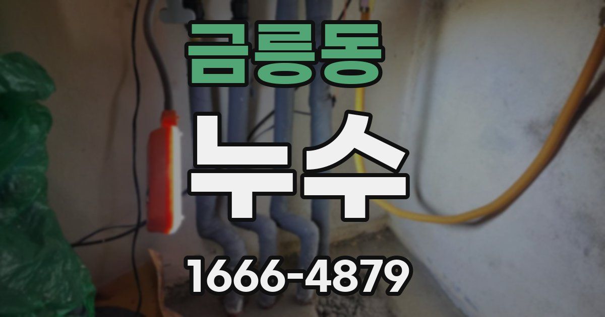 금릉동 누수