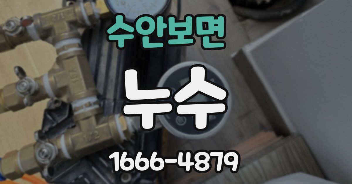 수안보면 누수