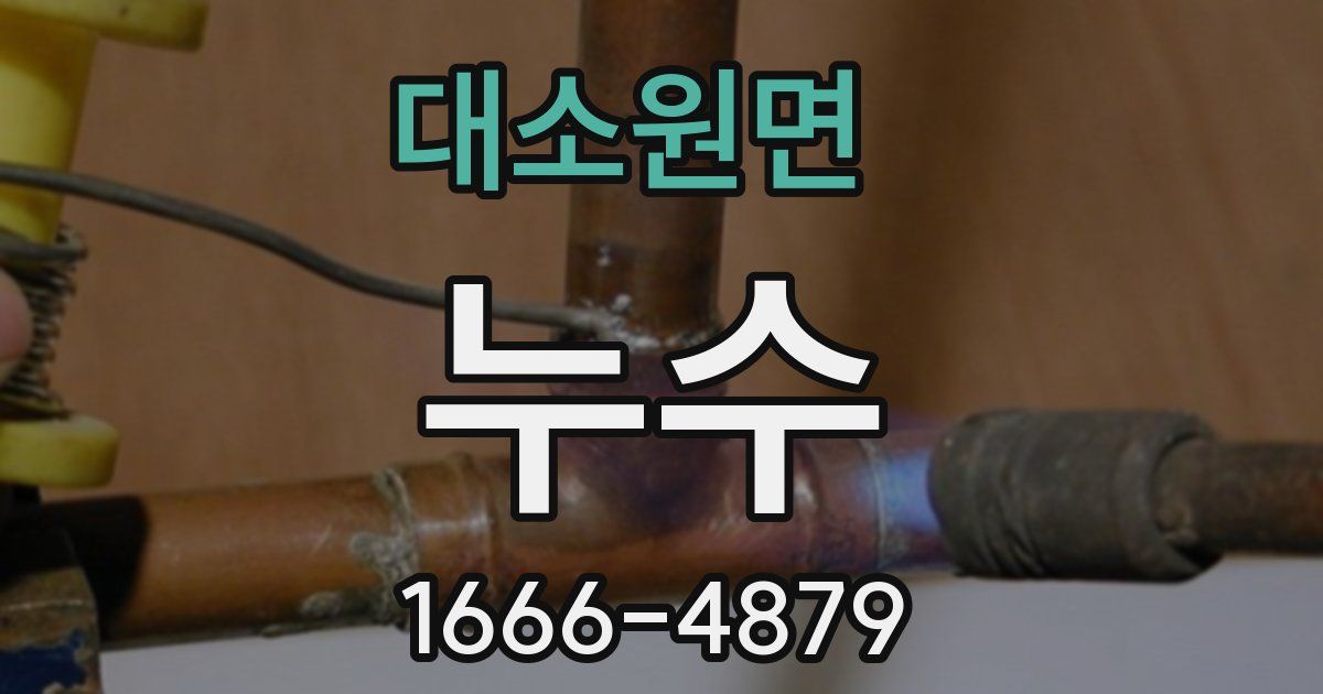 대소원면 누수