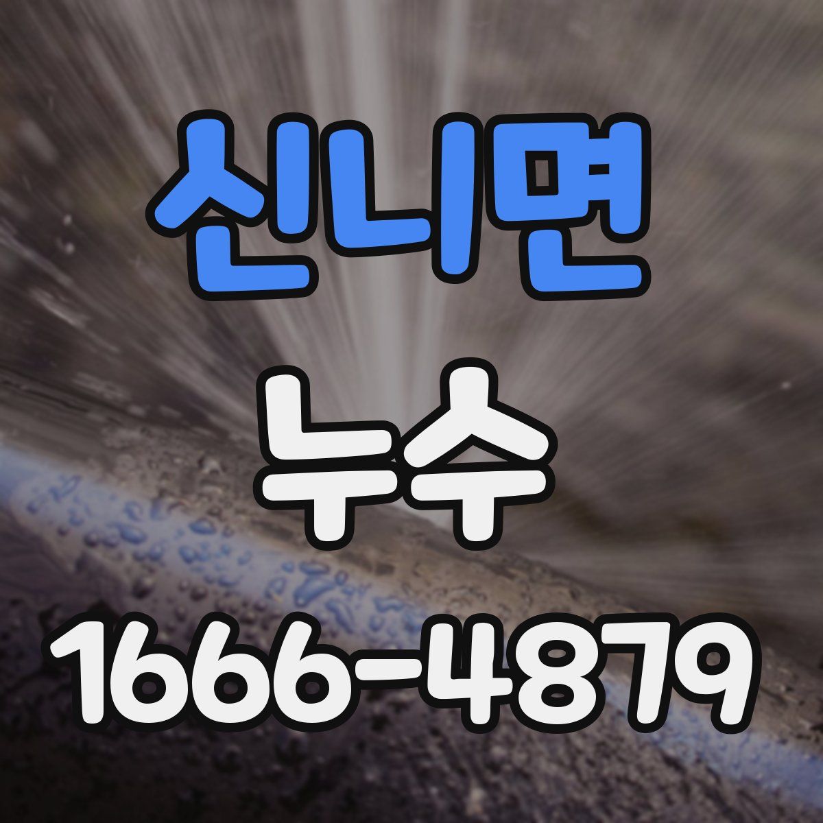 신니면 누수