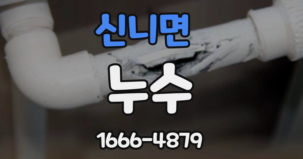 신니면 누수