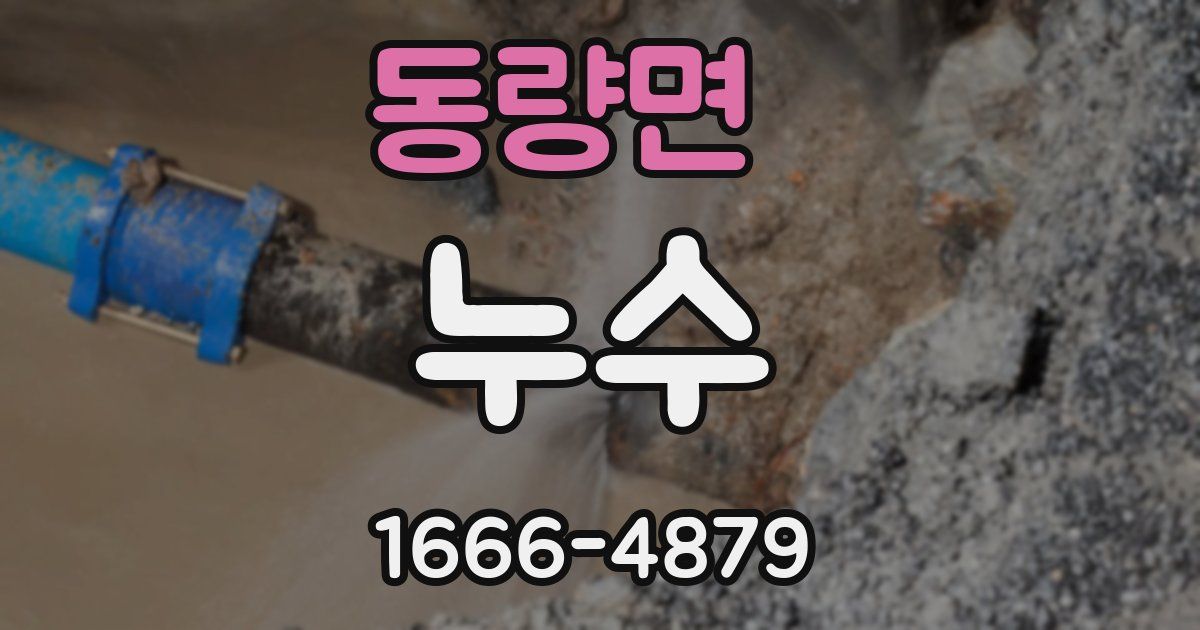동량면 누수