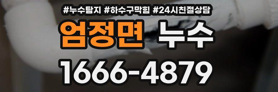 엄정면 누수