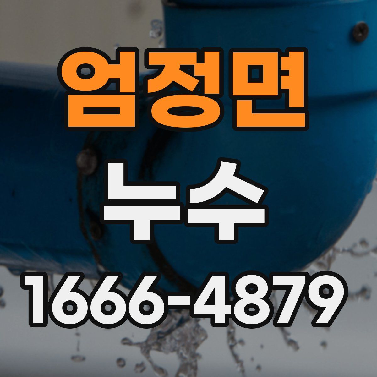 엄정면 누수