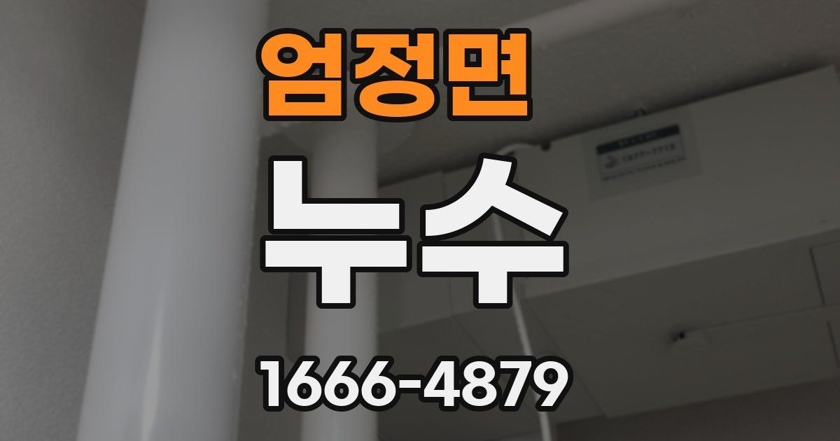 엄정면 누수