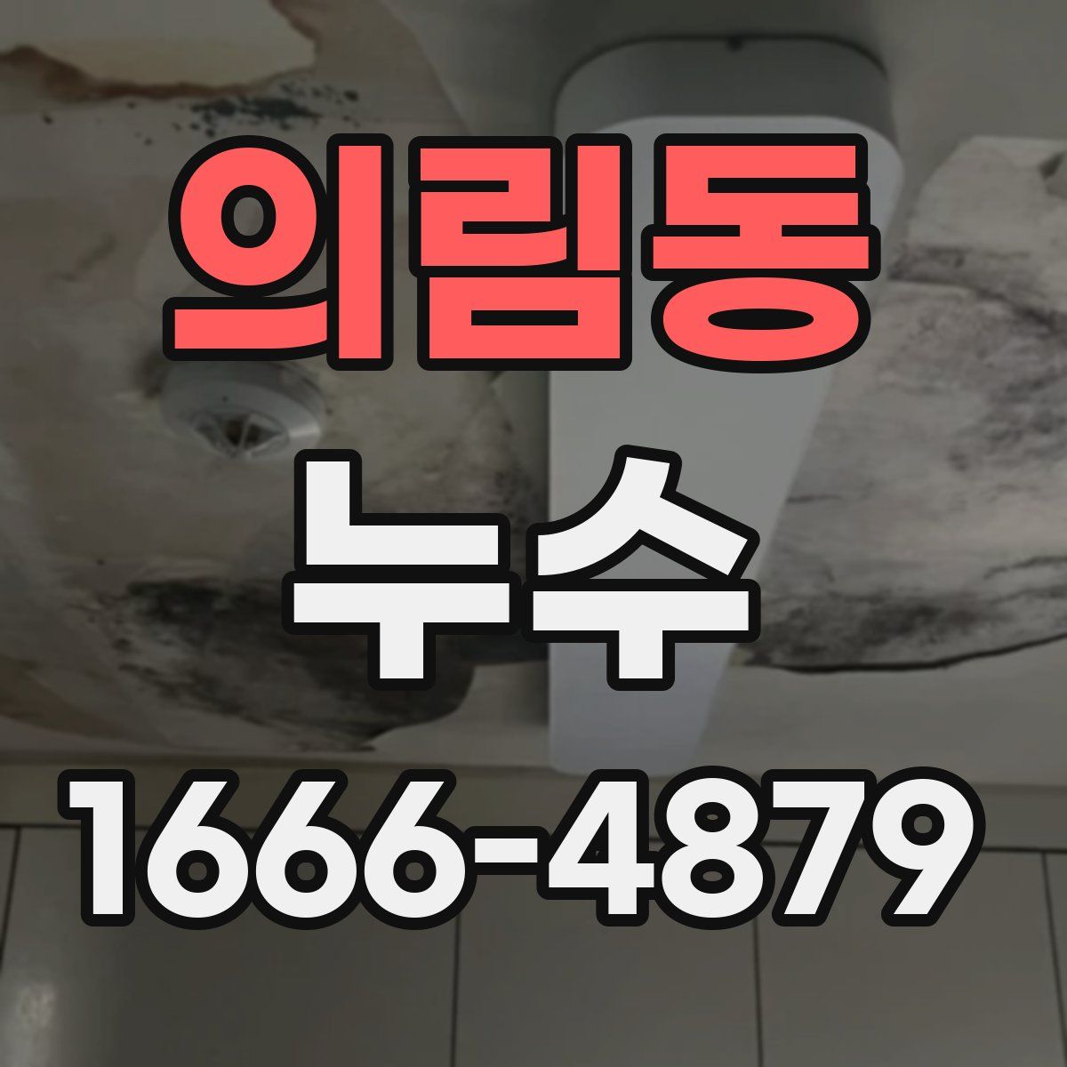 의림동 누수