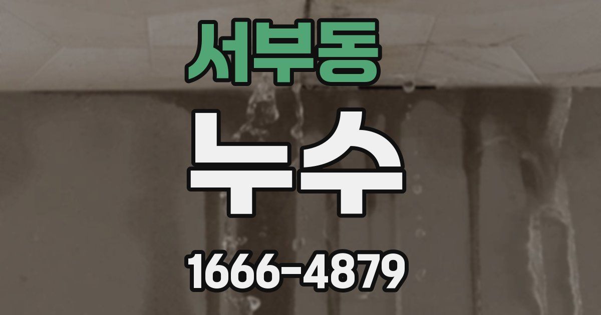 서부동 누수