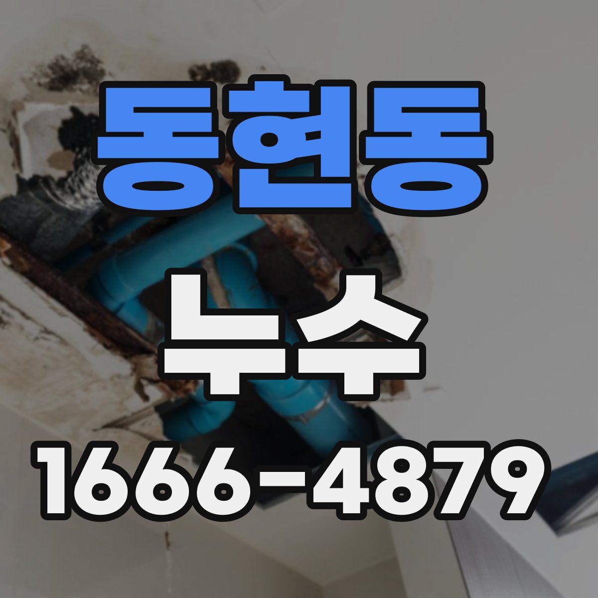 동현동 누수