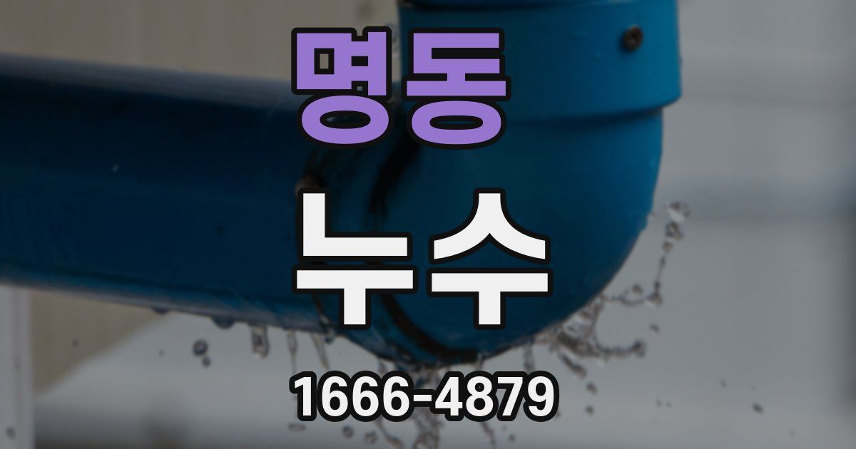 명동 누수