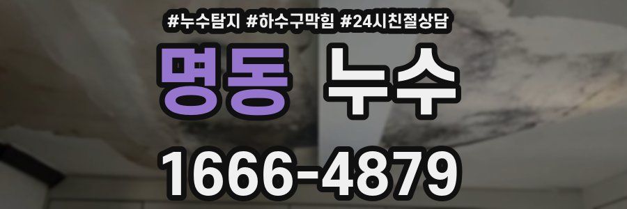 명동 누수