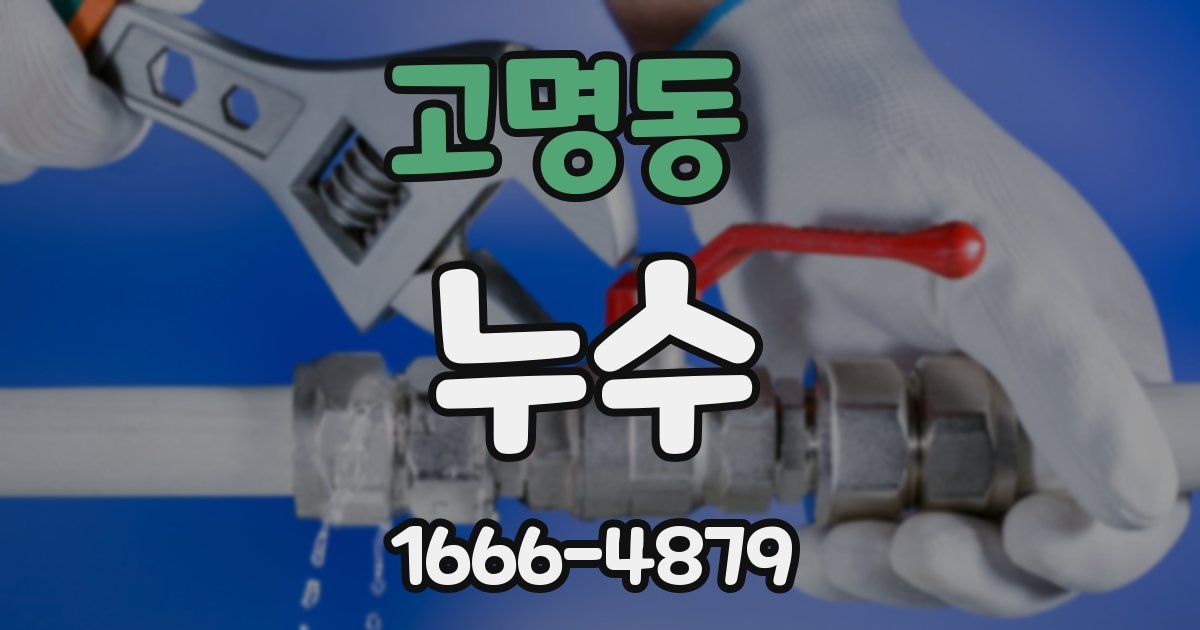 고명동 누수