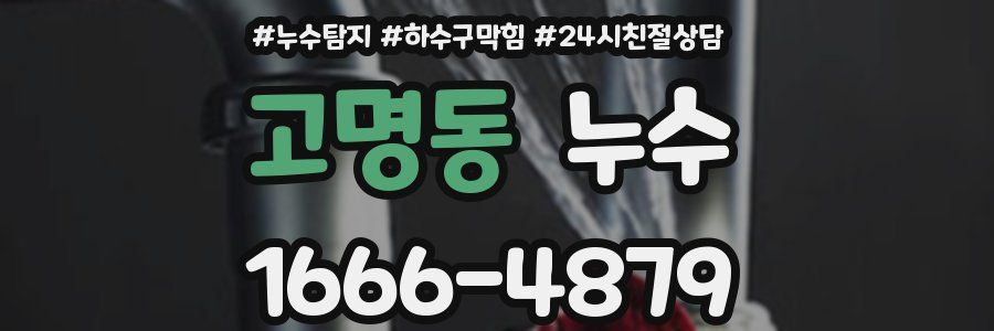 고명동 누수