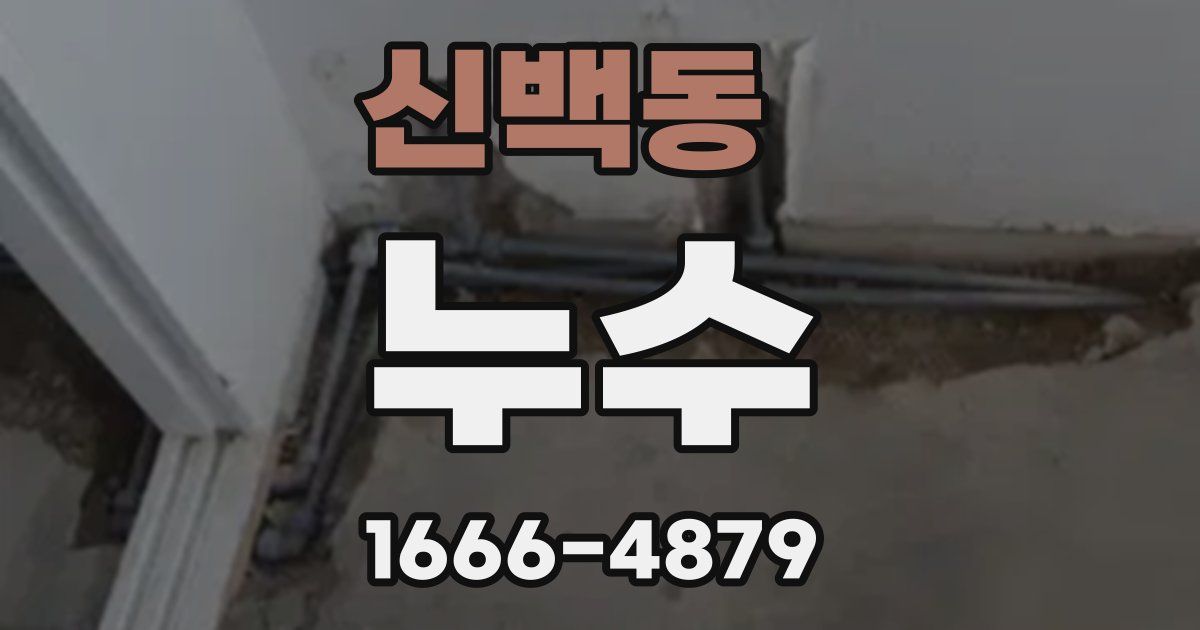 신백동 누수