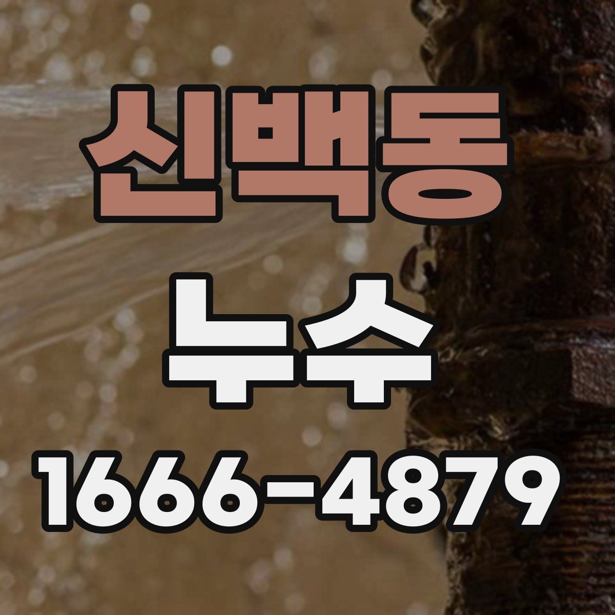 신백동 누수