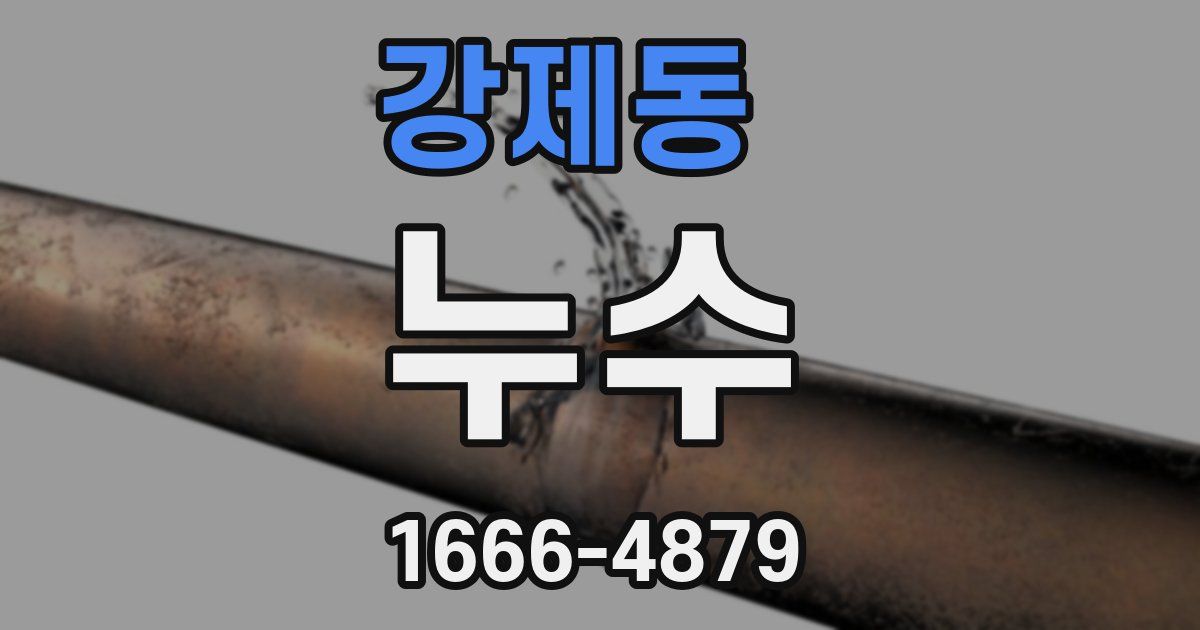 강제동 누수