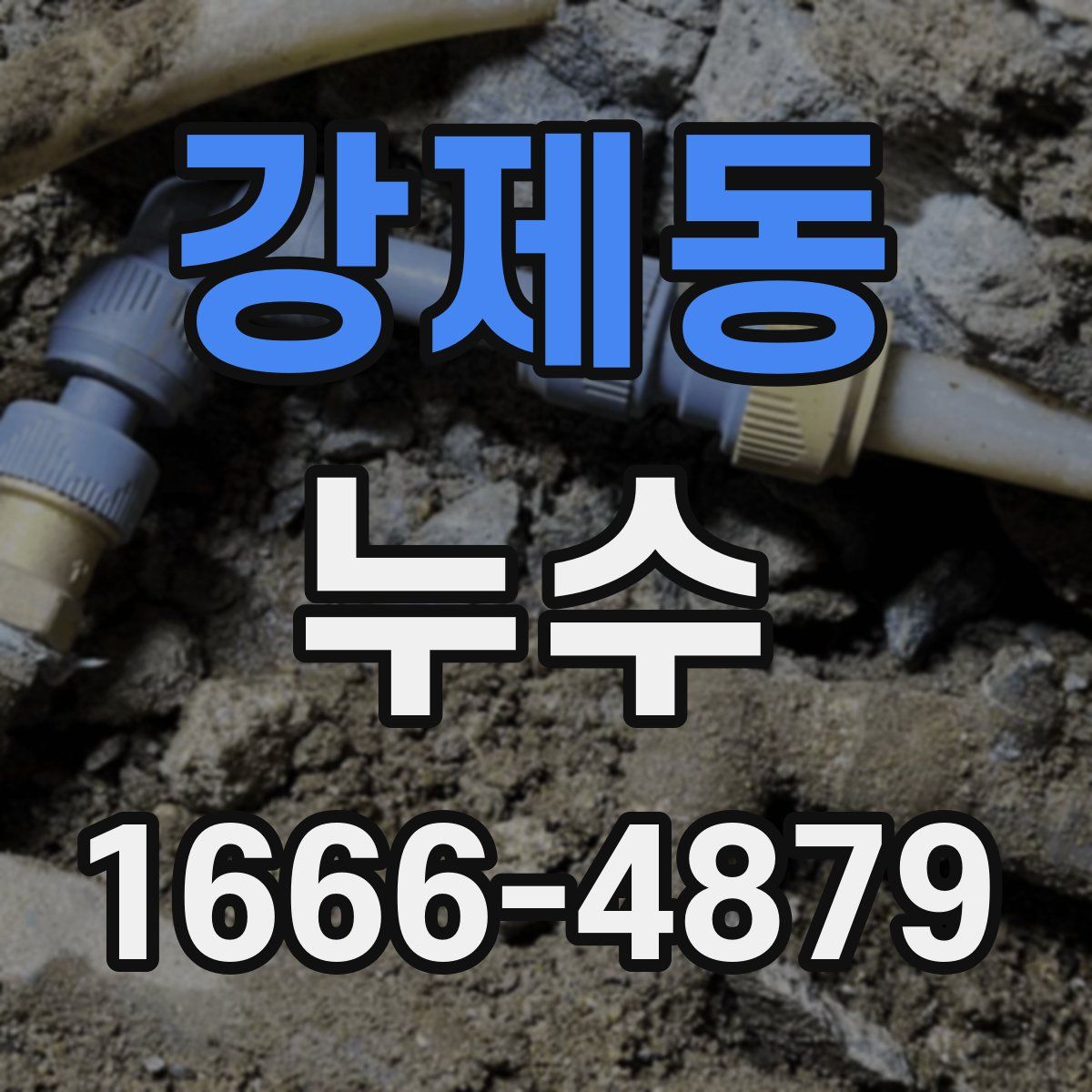강제동 누수
