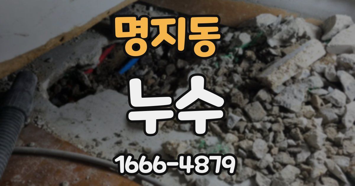 명지동 누수