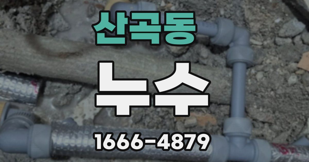 산곡동 누수