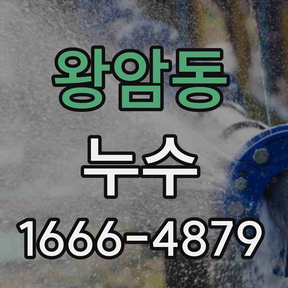 왕암동 누수