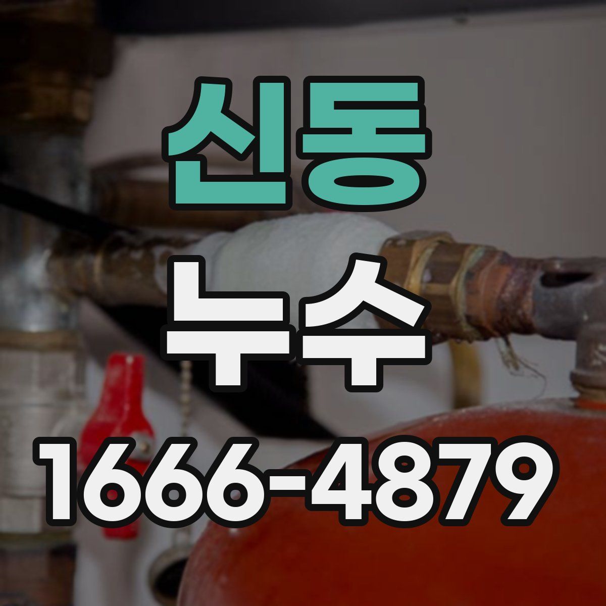 신동 누수