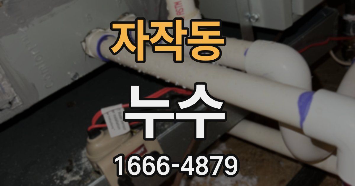 자작동 누수