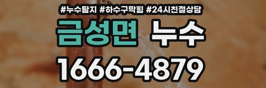 금성면 누수