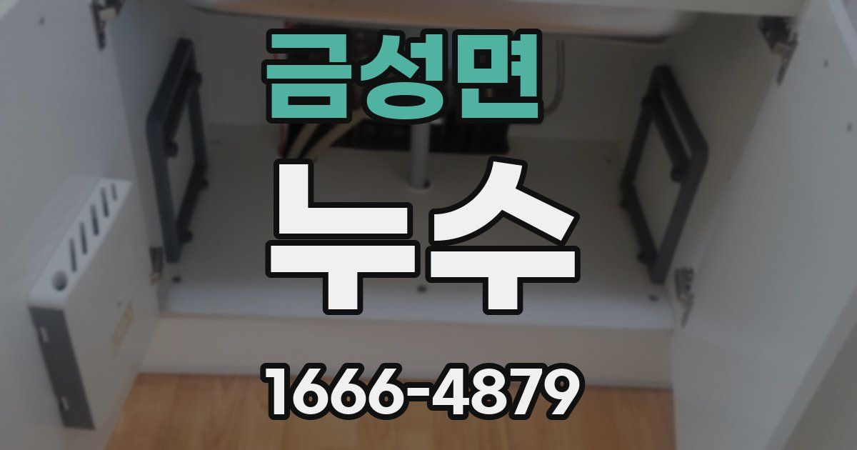 금성면 누수