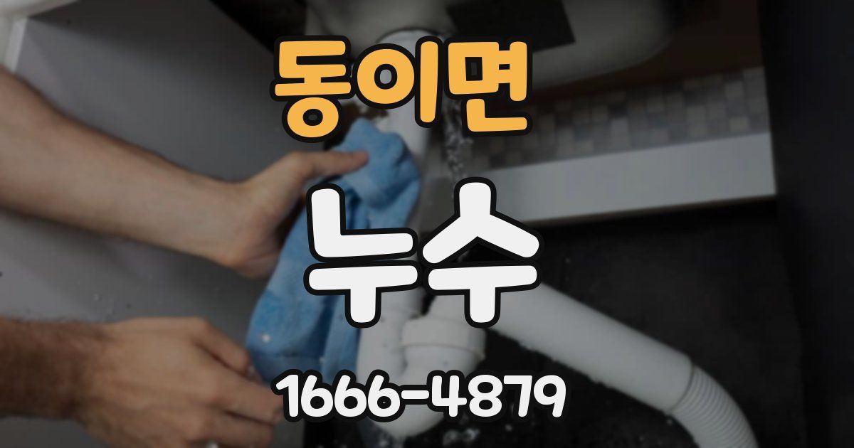 동이면 누수