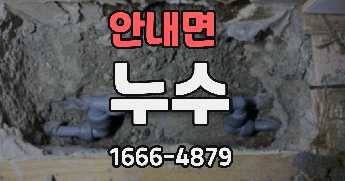 안내면 누수