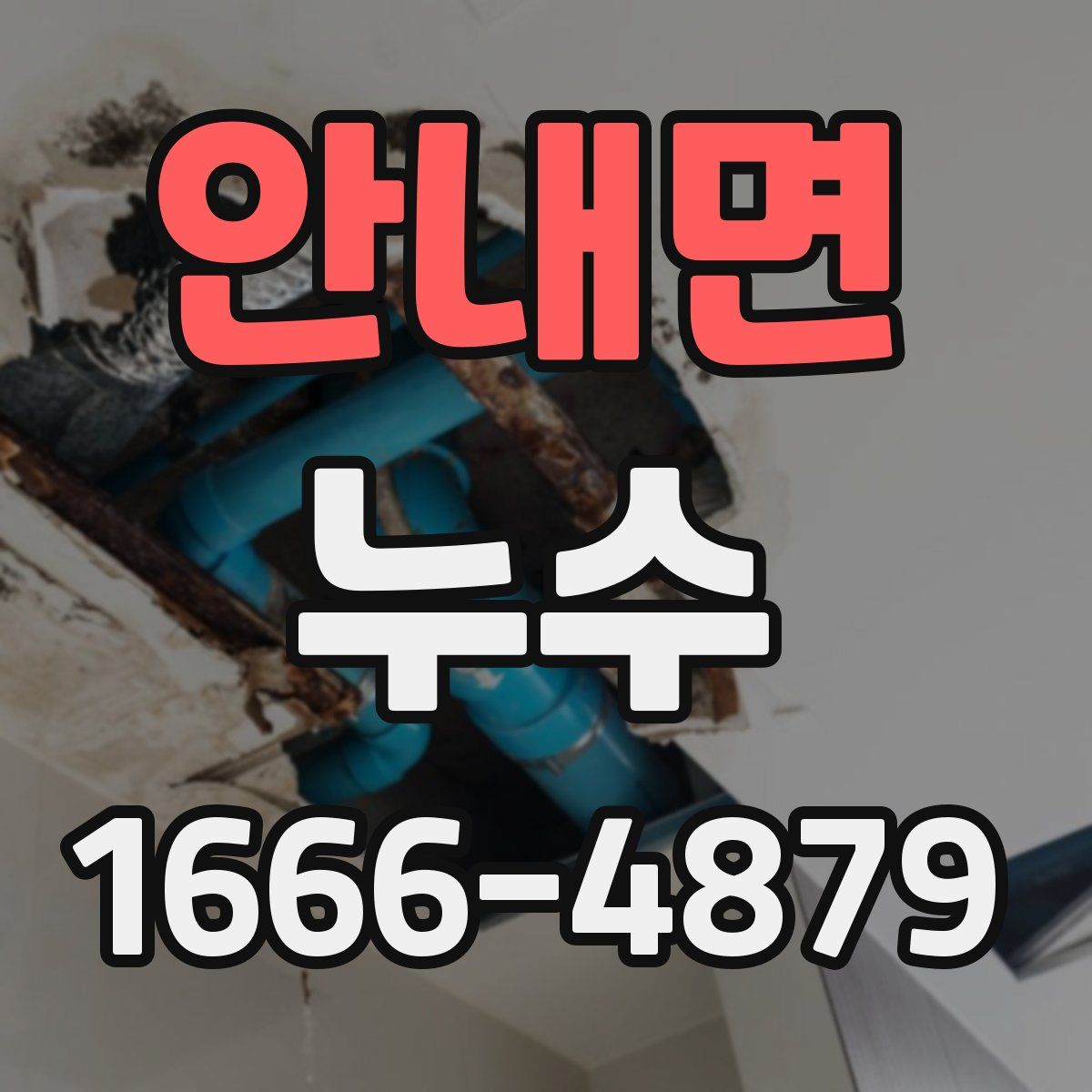 안내면 누수