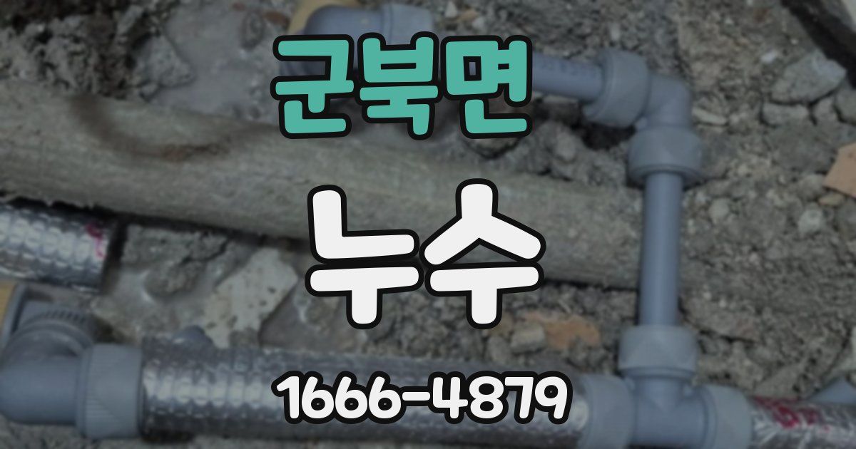 군북면 누수