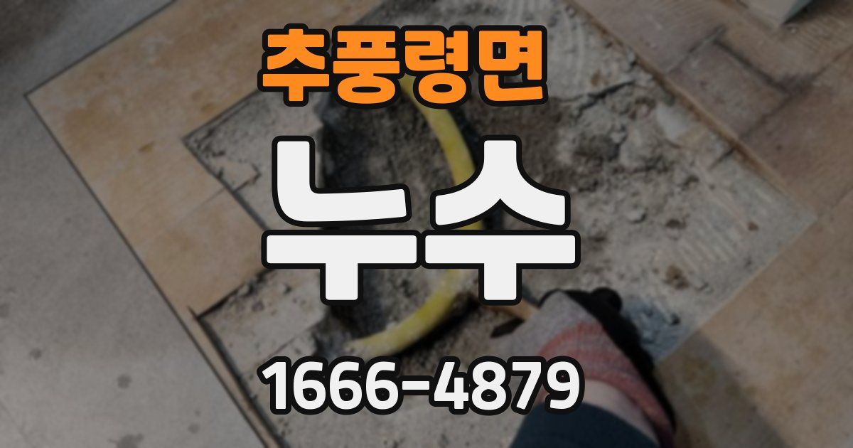 추풍령면 누수