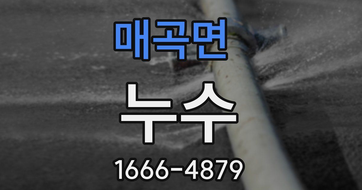 매곡면 누수