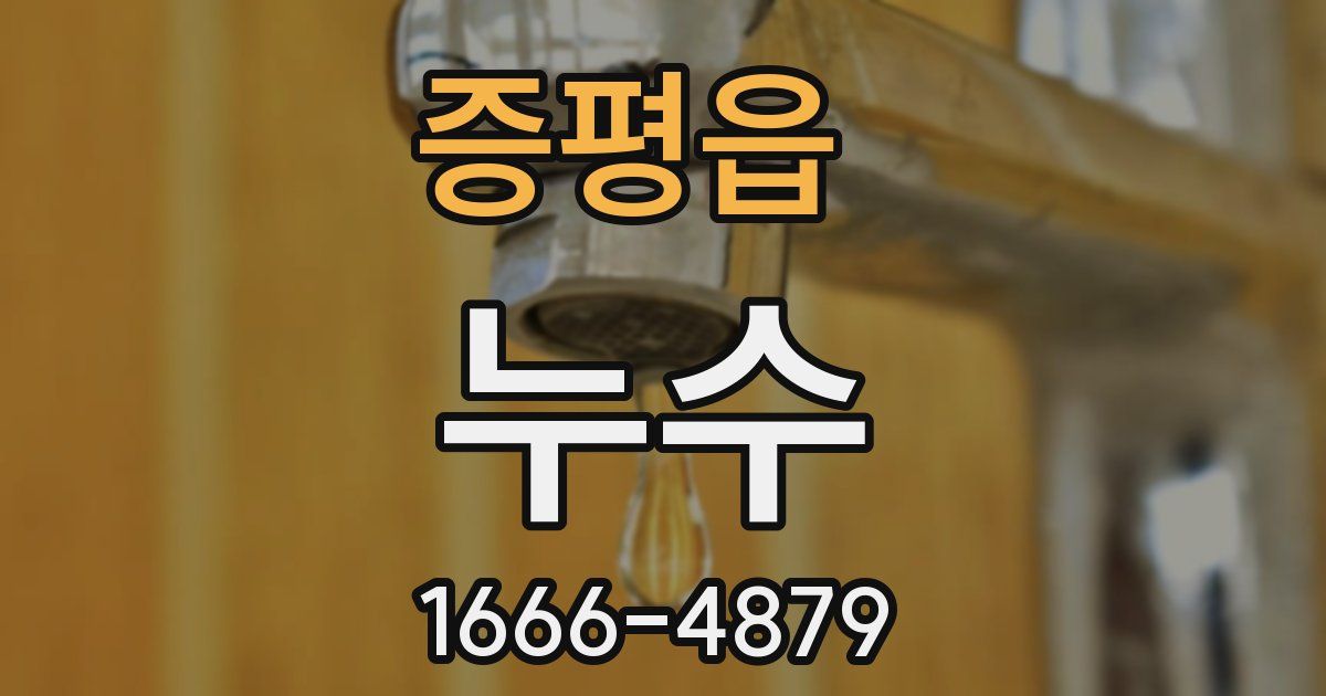 증평읍 누수
