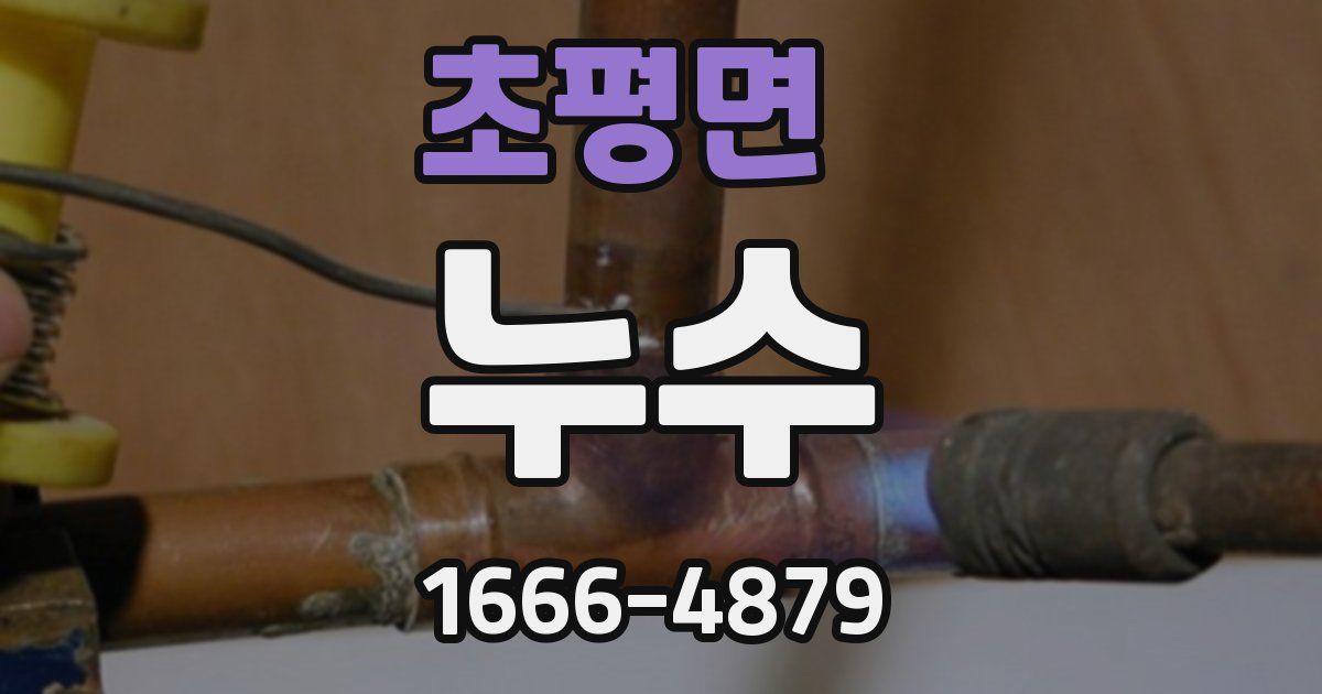 초평면 누수