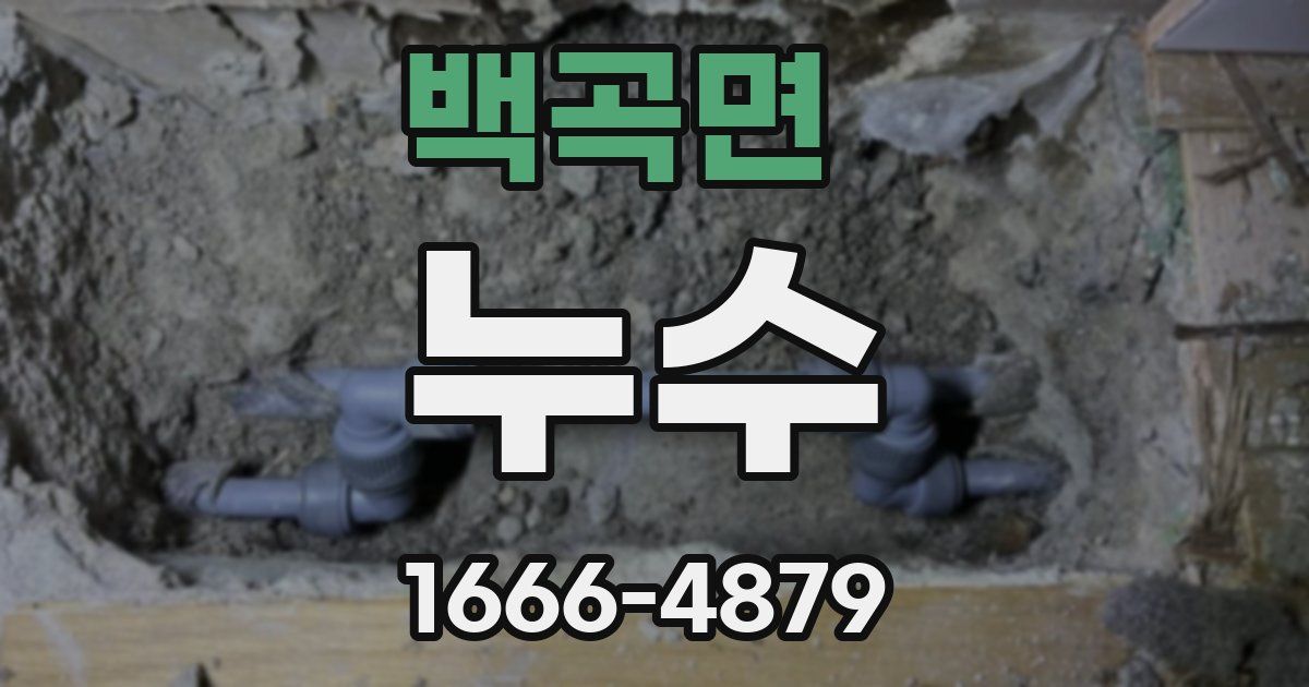 백곡면 누수