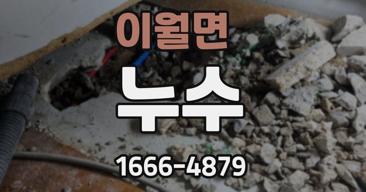 이월면 누수
