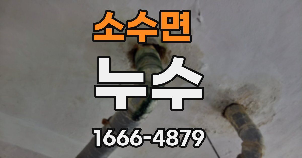 소수면 누수