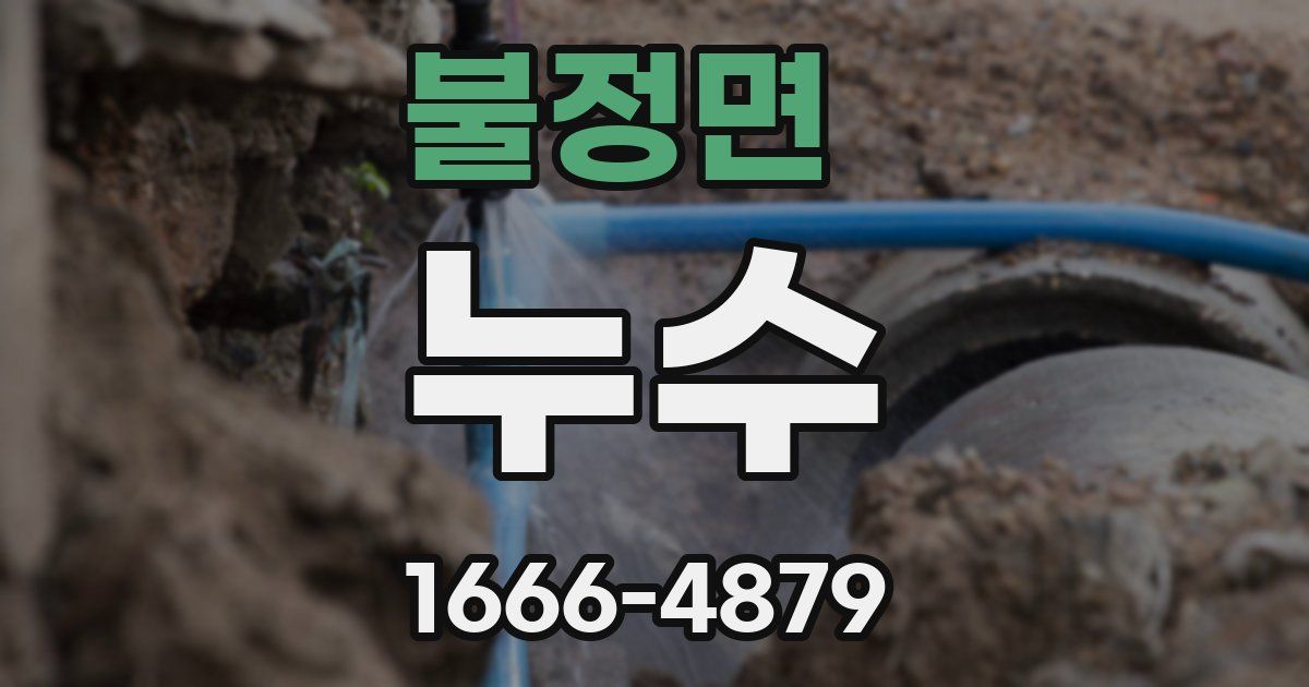 불정면 누수