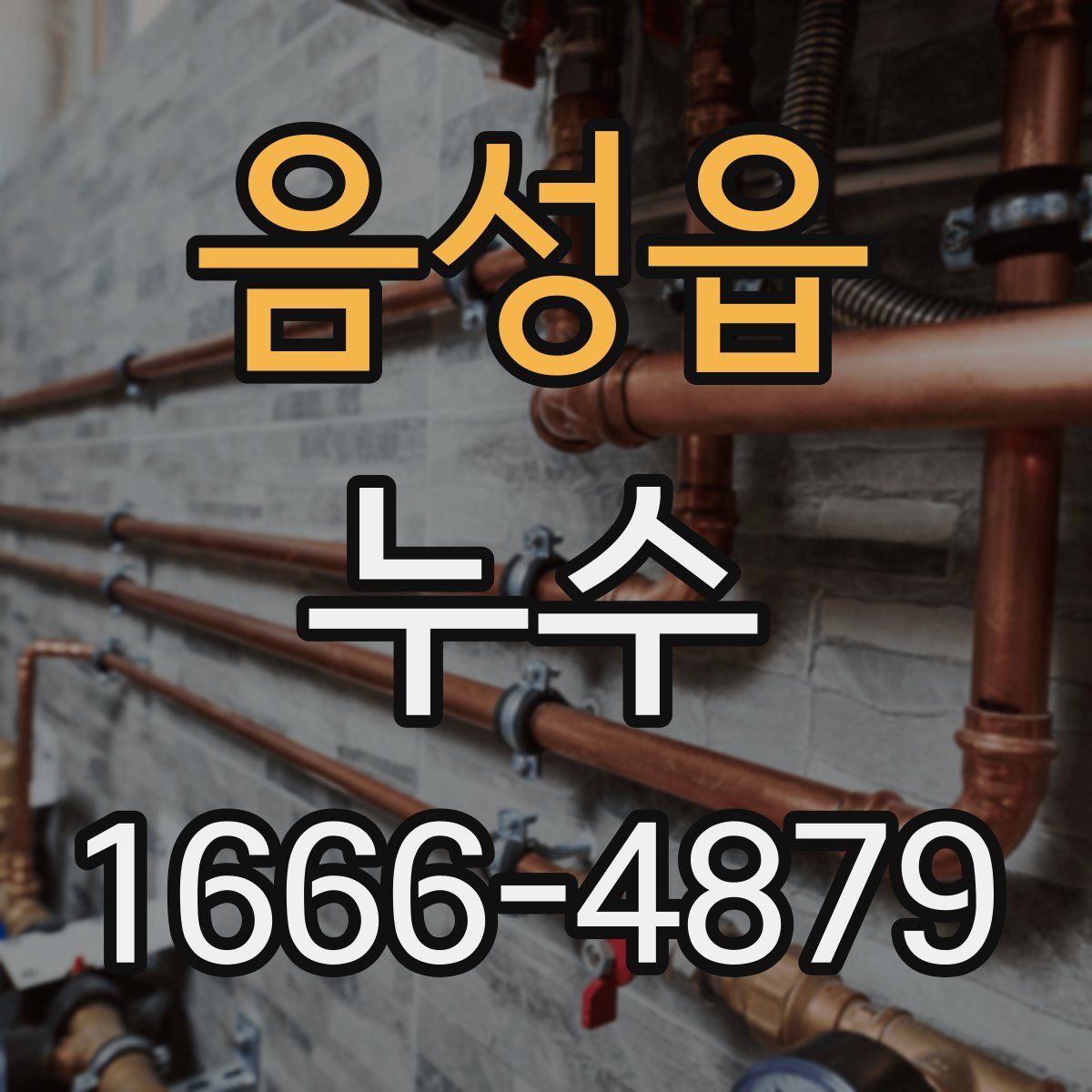 음성읍 누수
