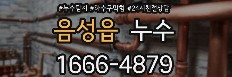 음성읍 누수