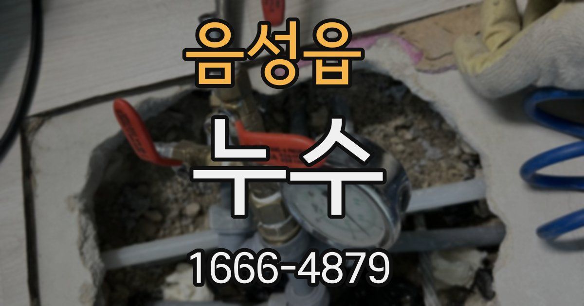 음성읍 누수