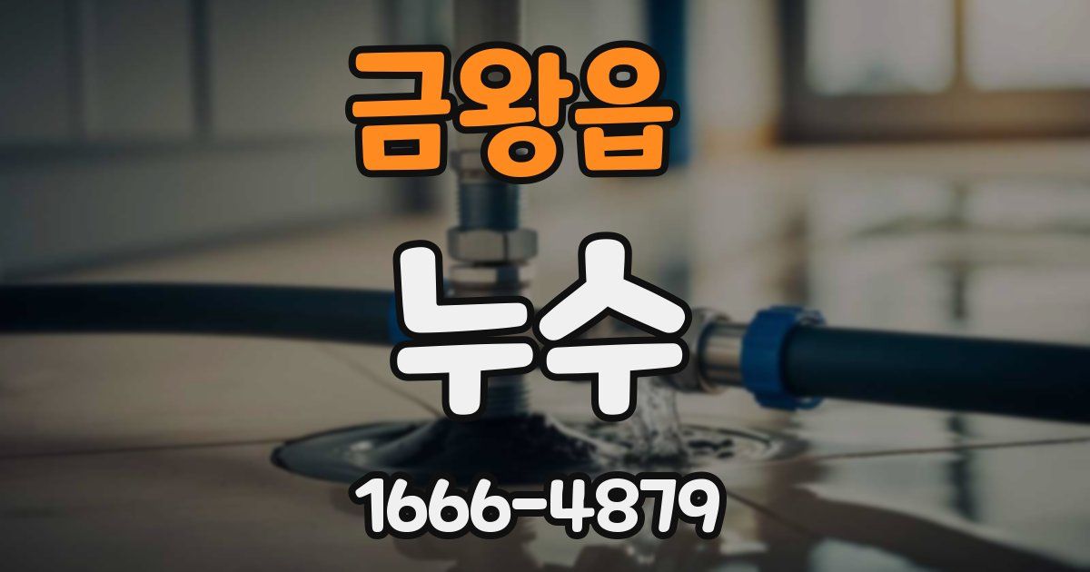 금왕읍 누수