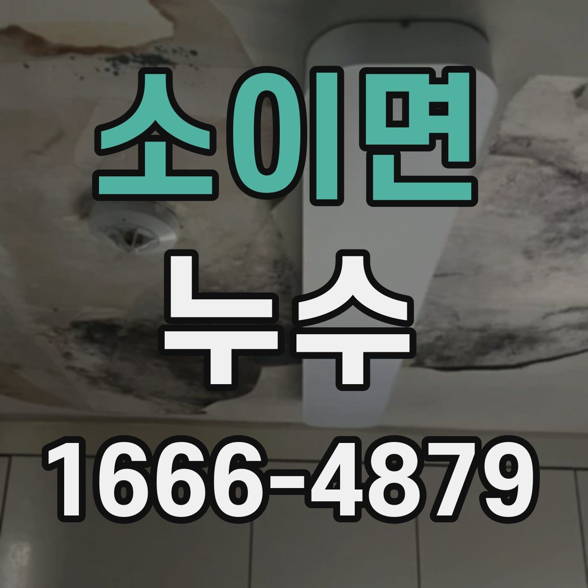 소이면 누수