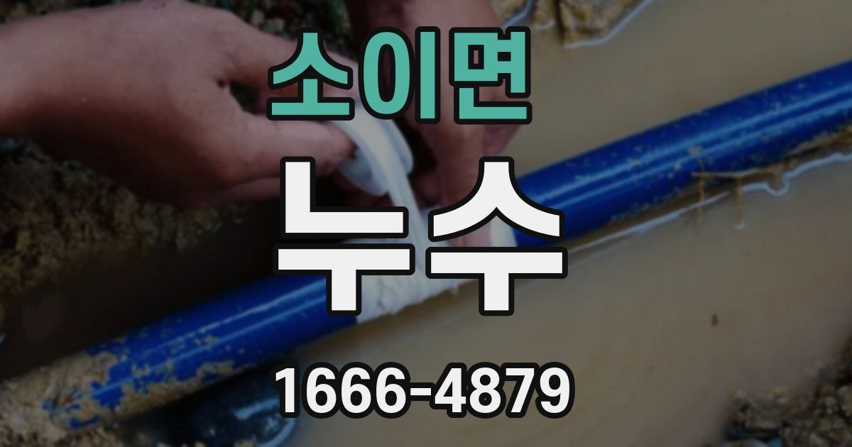소이면 누수