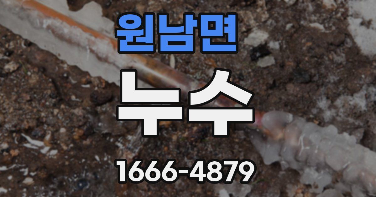 원남면 누수