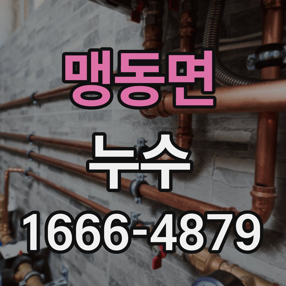 맹동면 누수