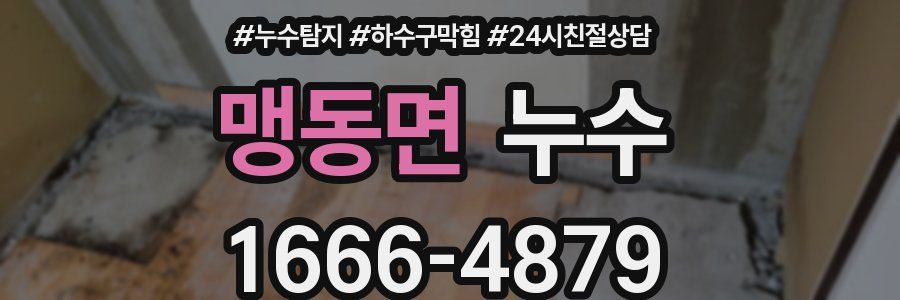맹동면 누수